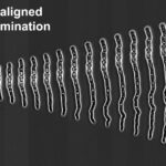 Algorithmically-aligned C.acutatum germination